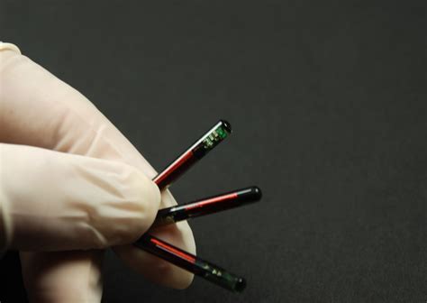 rfid chip implanted in students|What You May Not Know About RFID .